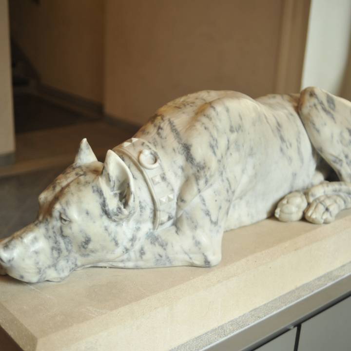 Danish Dog at The Musée des Beaux-Arts, Lyon image