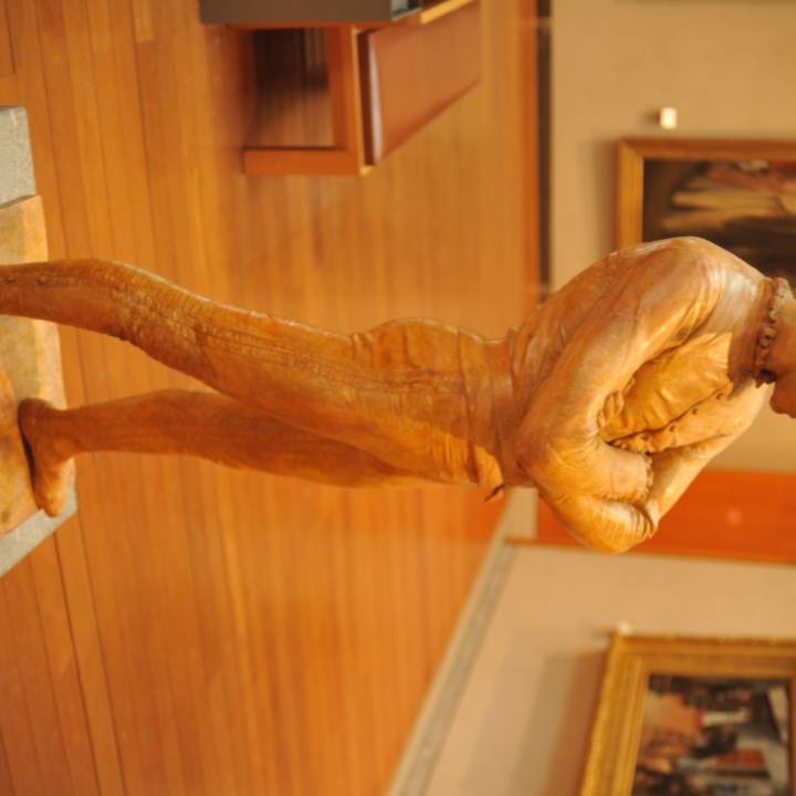 Harlequin at The Musée des Beaux-Arts, Lyon image