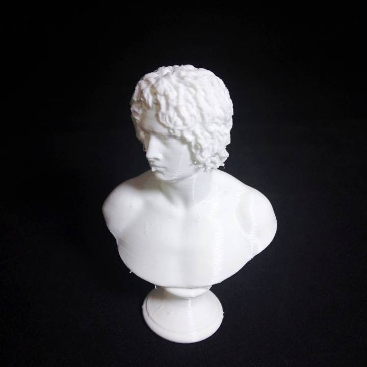 Bust of a Young Man, possibly Arminius Puskin at The Faculty of Classics, Cambridge image