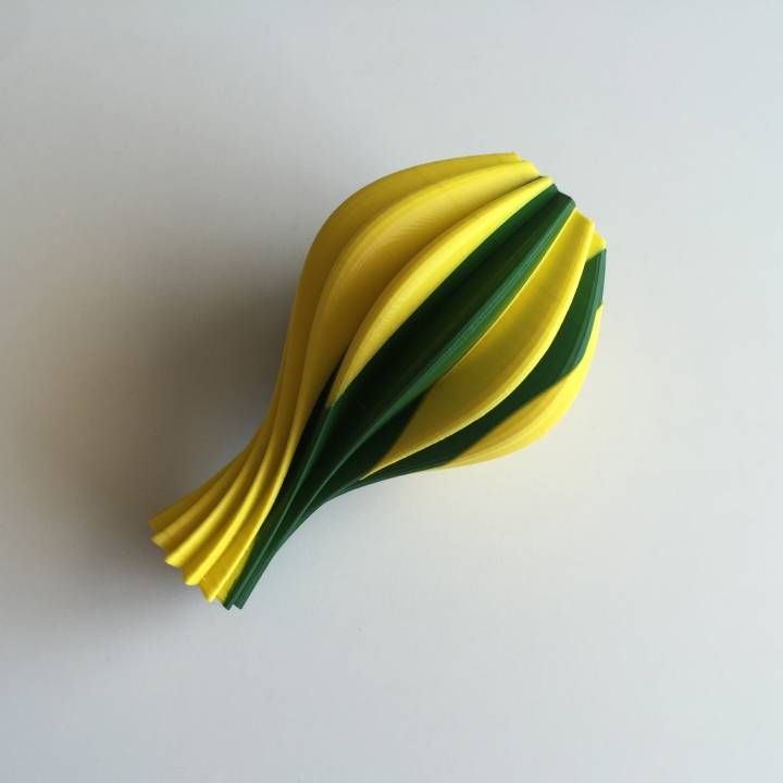 Starelt Vase (Dual Extrusion / 2 Color) image