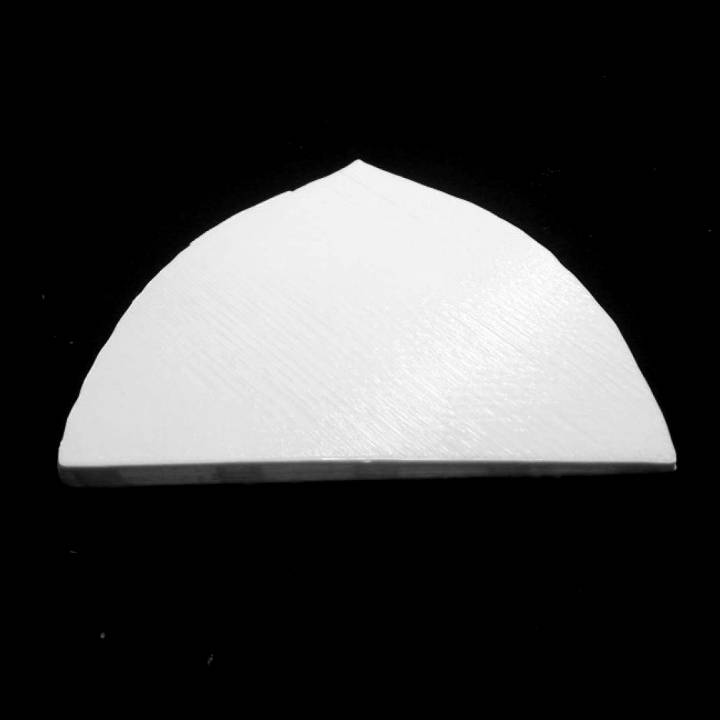 3D Printable Tympan armorié at The Musée des BeauxArts, Lyon by Scan