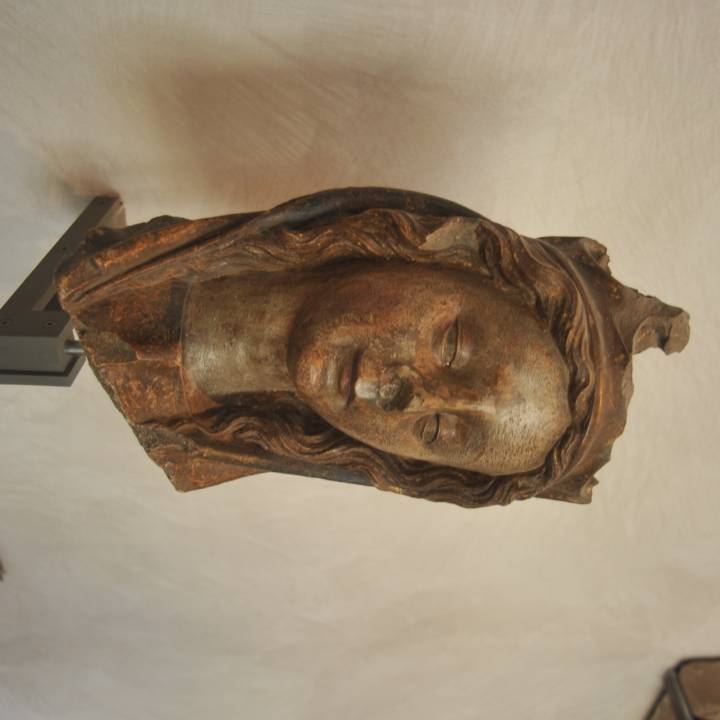 Head of the Virgin at The Musée des Beaux-Arts, Lyon image