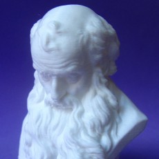 Picture of print of Head of a Bearded Old Man