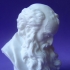 Head of a Bearded Old Man print image