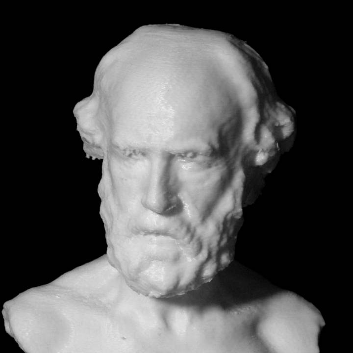 3D Printable Paul Chenavard at The Musée des BeauxArts, Lyon by Scan