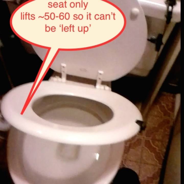 Toilet Seat Lifter image