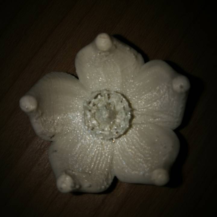 Flower 2 image