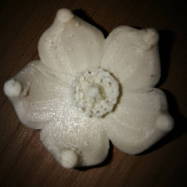 Flower 2 image