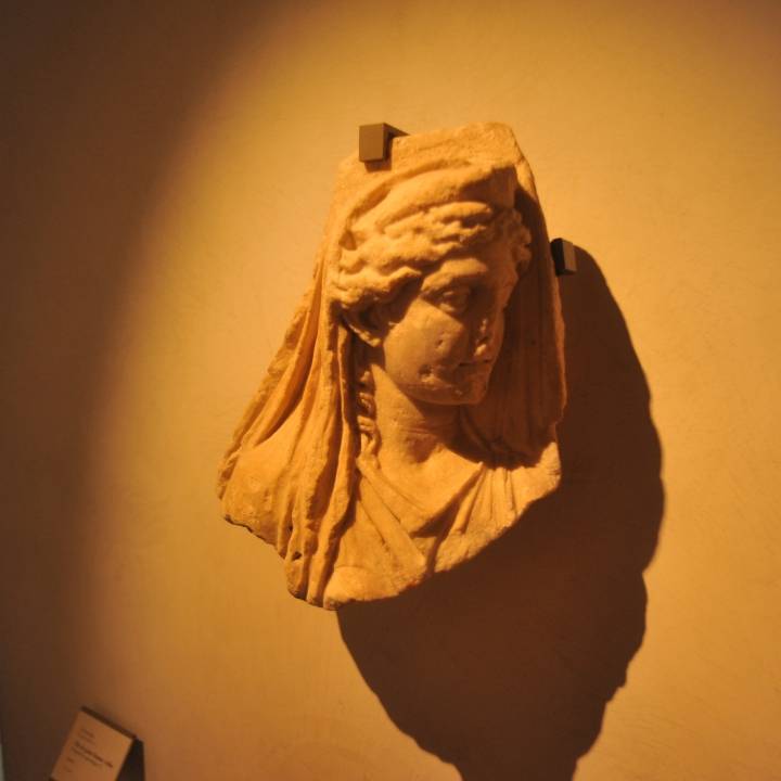 Head of a veiled young woman at The Musée des Beaux-Arts, Lyon image