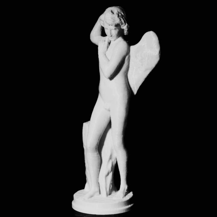Cupid at The State Hermitage Museum, St Petersburg image