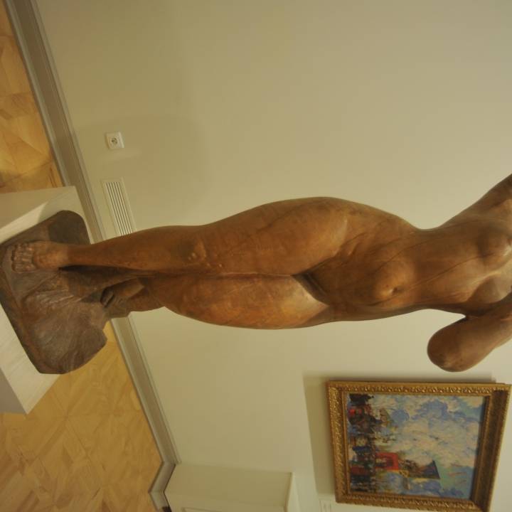 Wounded Woman at The State Russian Museum, St Petersburg image