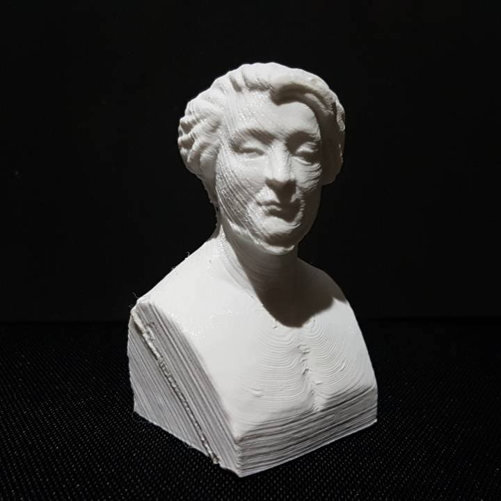 Adam Mickiewicz Bust image
