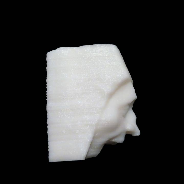 Corbel in the shape of a man's head image