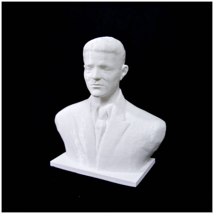 3D Printable Niko Nestor bust by Scan The World