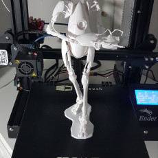 Picture of print of Portal 2 P-body