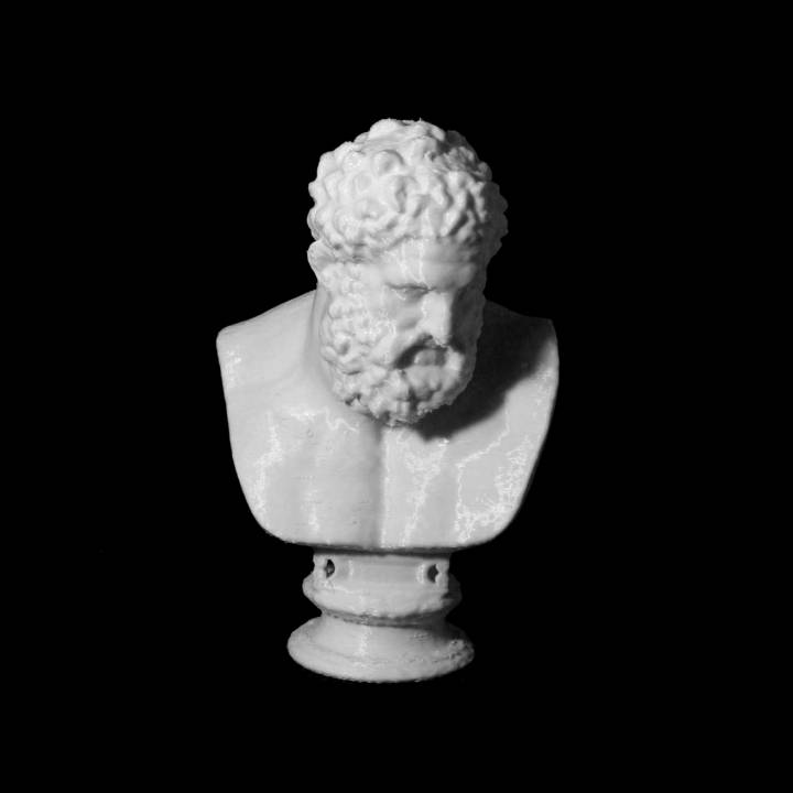 Bust of Hercules image