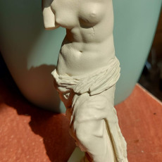 Picture of print of Venus de Milo (Aphrodite of Milos)