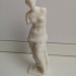 Venus de Milo (Aphrodite of Milos) print image