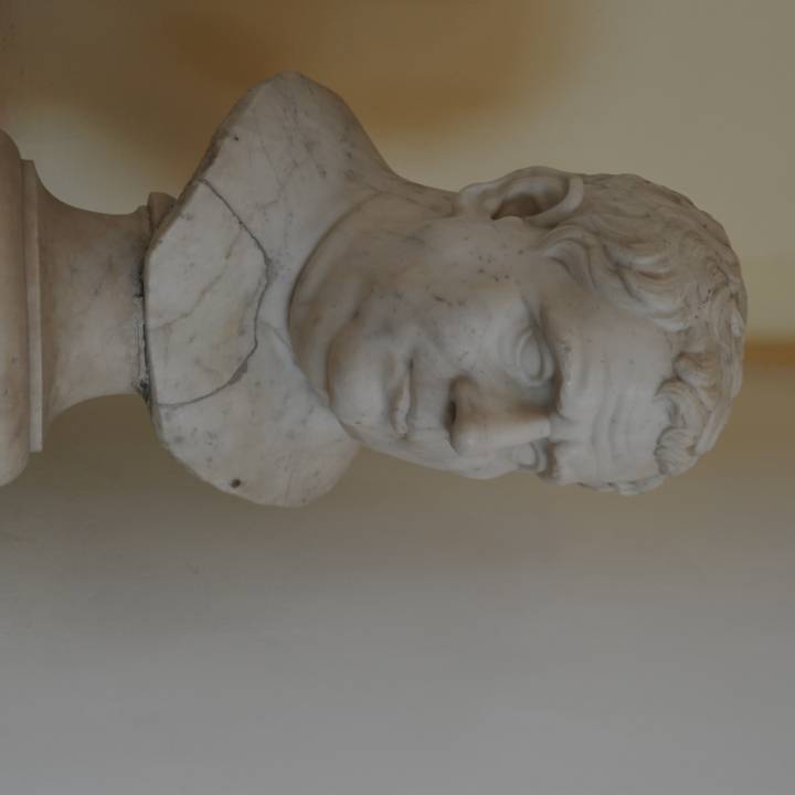 Bust of an Aged Roman image