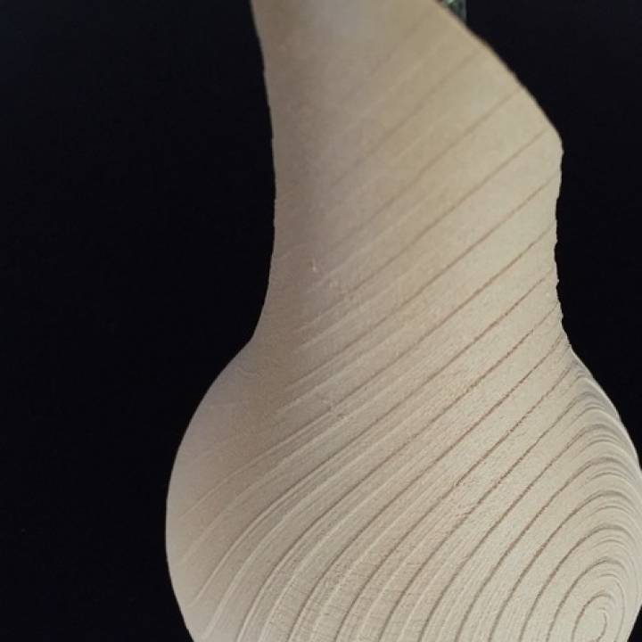 Wooden vase image