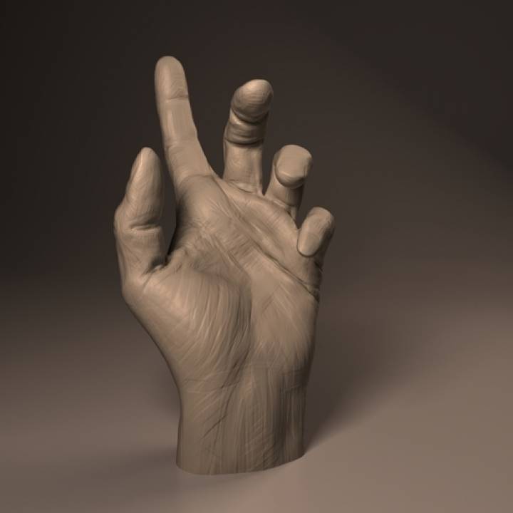 3D Printable Hand Anatomy by Milos