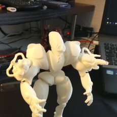 Picture of print of Maker Tron Defender