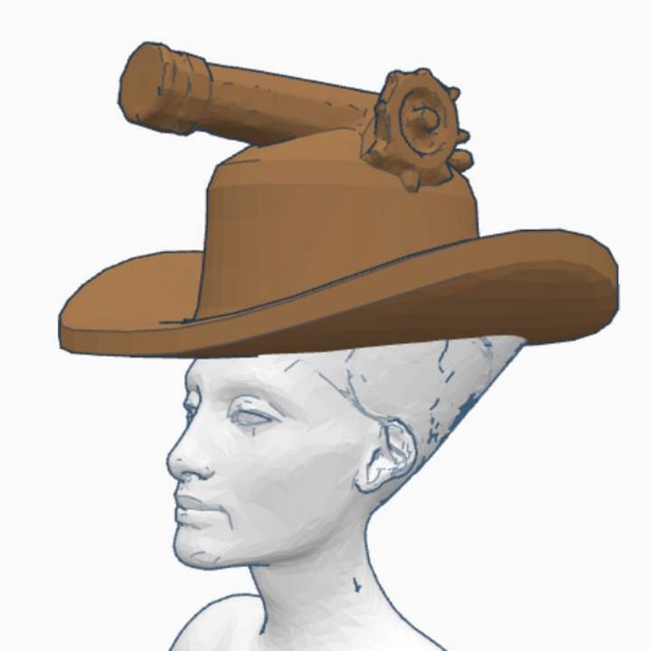 Cannon Cowboy Hat image
