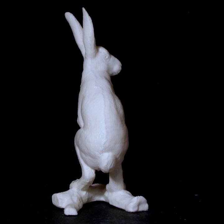 Hare image