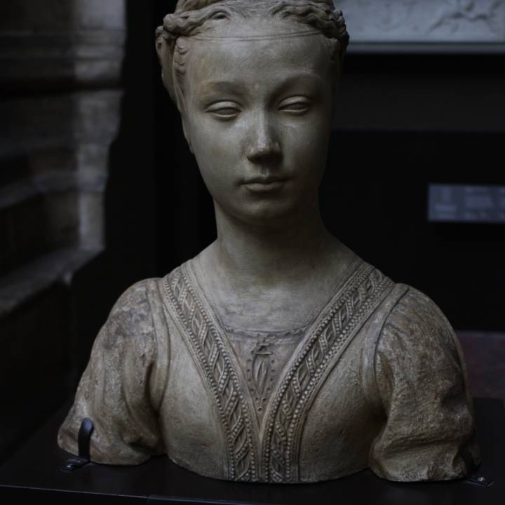 Bust of a Young Woman image