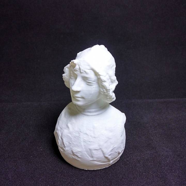Bust of a Youth image