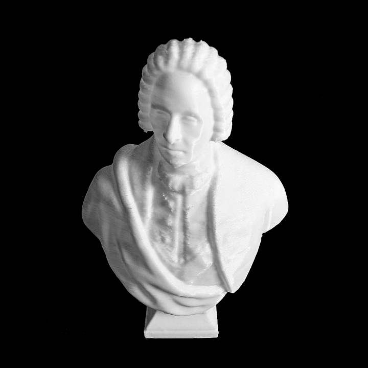 Bust of Francesco Bartolomeo Rastrelli image