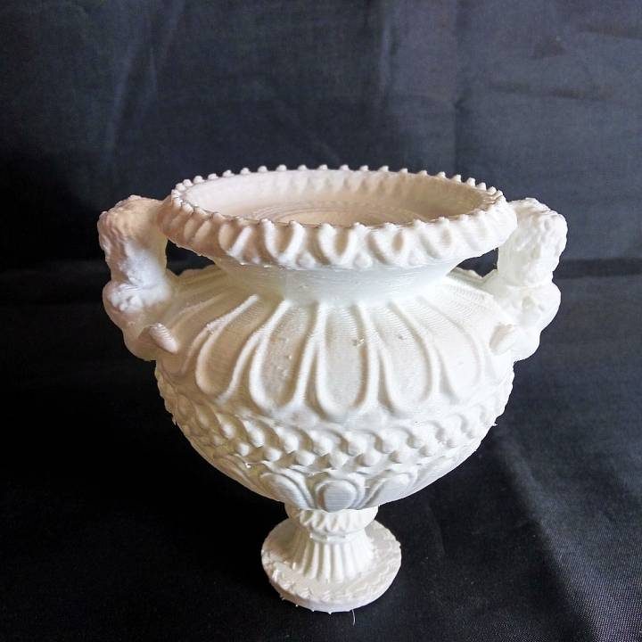 The Piranesi Vase image