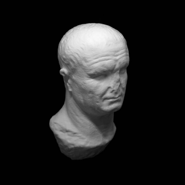 Head from a marble statue of Vespasian image