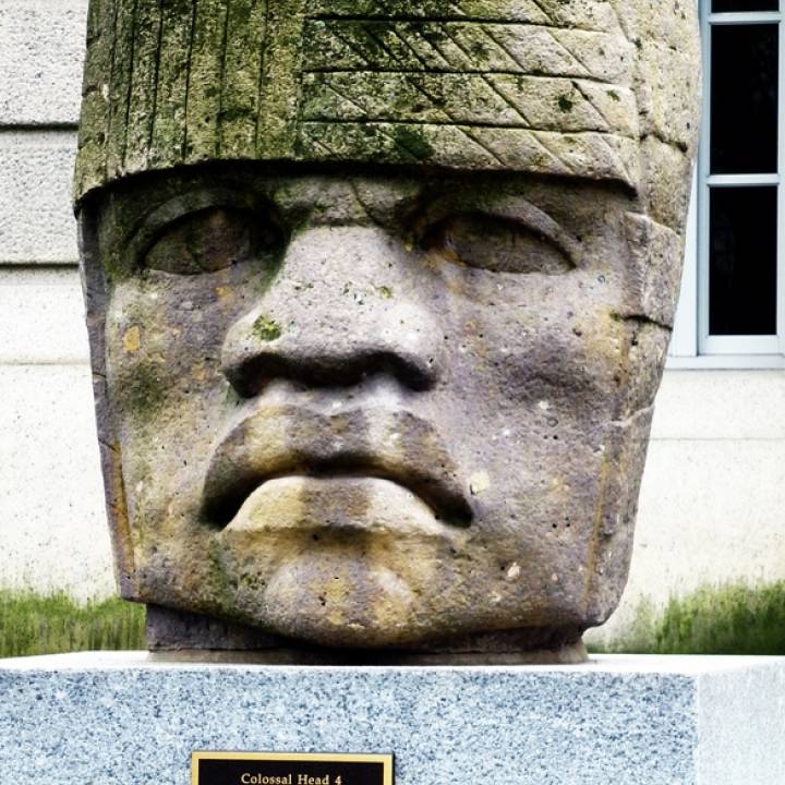 Olmec colossal head image
