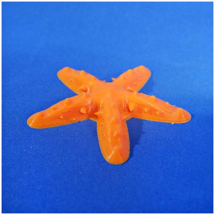 Florida Star-fish Refrigerator Magnet image