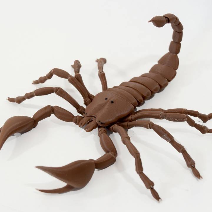 BJD pet Scorpion image