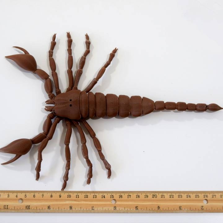 BJD pet Scorpion image