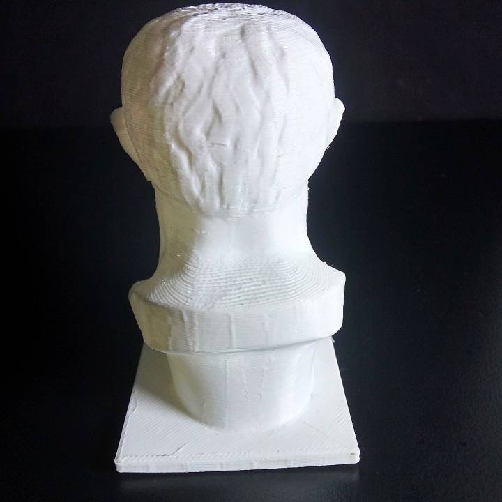 Head of a Boxer image