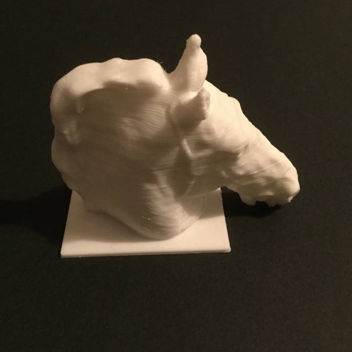 Head of a Horse image