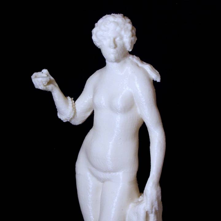 Venus Met Schelp image