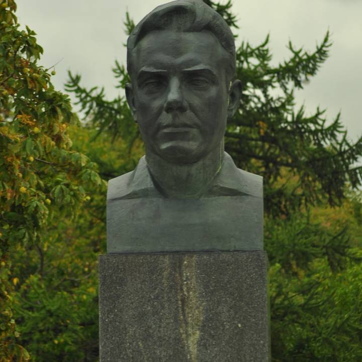 Vladimir Mikhaylovich Komarov image