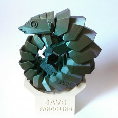 Picture of print of Save pangolins