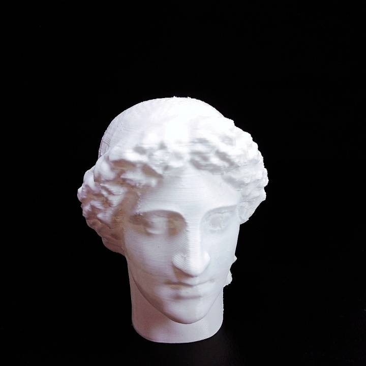 Roman bust image