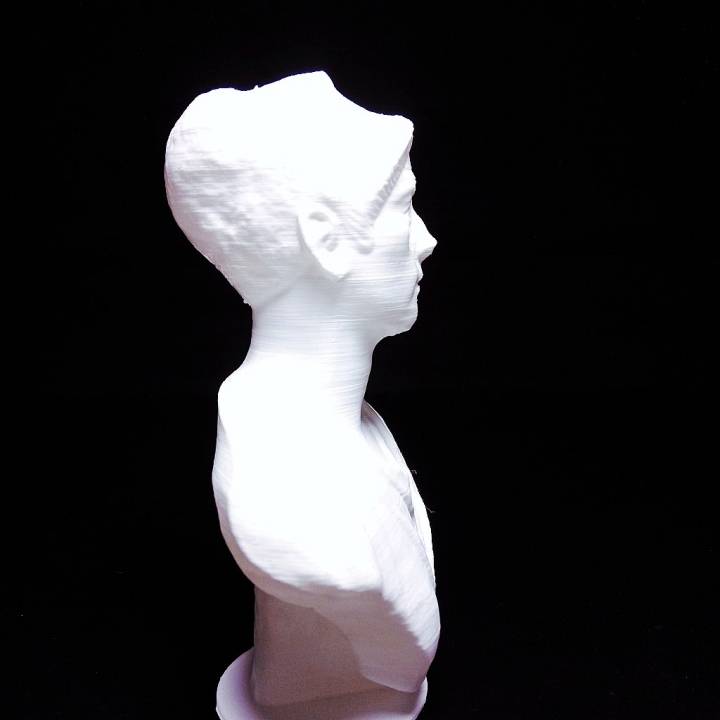 Bust of a woman image