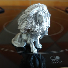 Picture of print of Hairy Lion