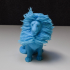 Hairy Lion print image