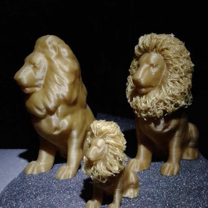 Hairy Lion image