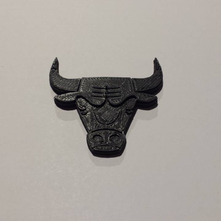 Chicago Bulls - Logo image