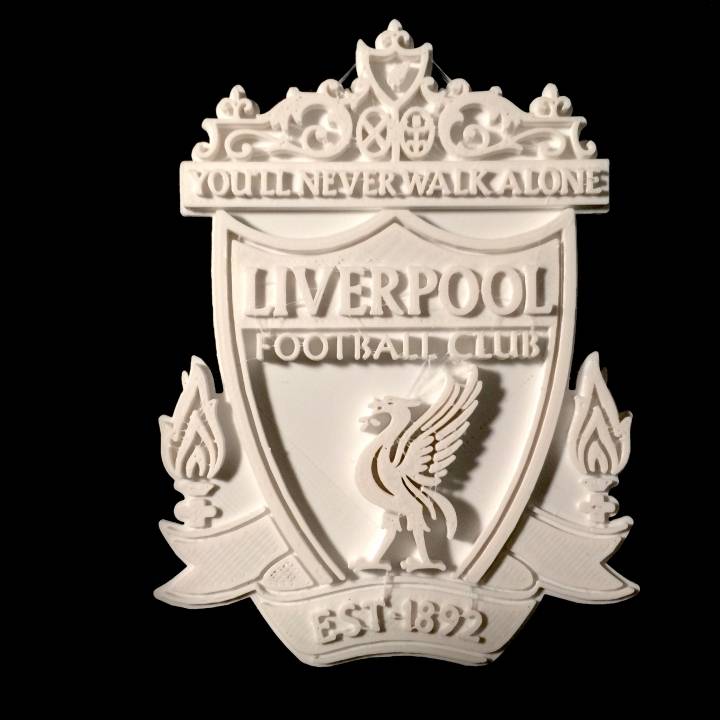 Liverpool FC - Logo image