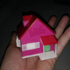 Picture of print of Kame House